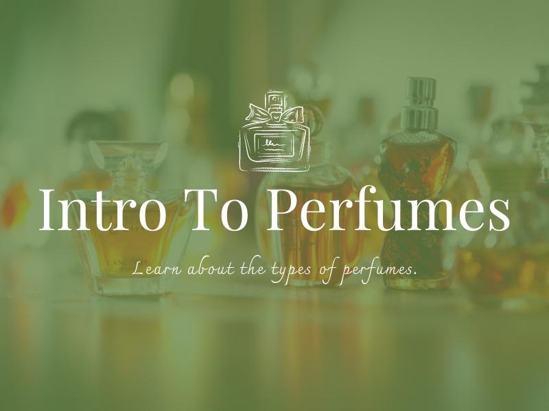 intro to perfumes